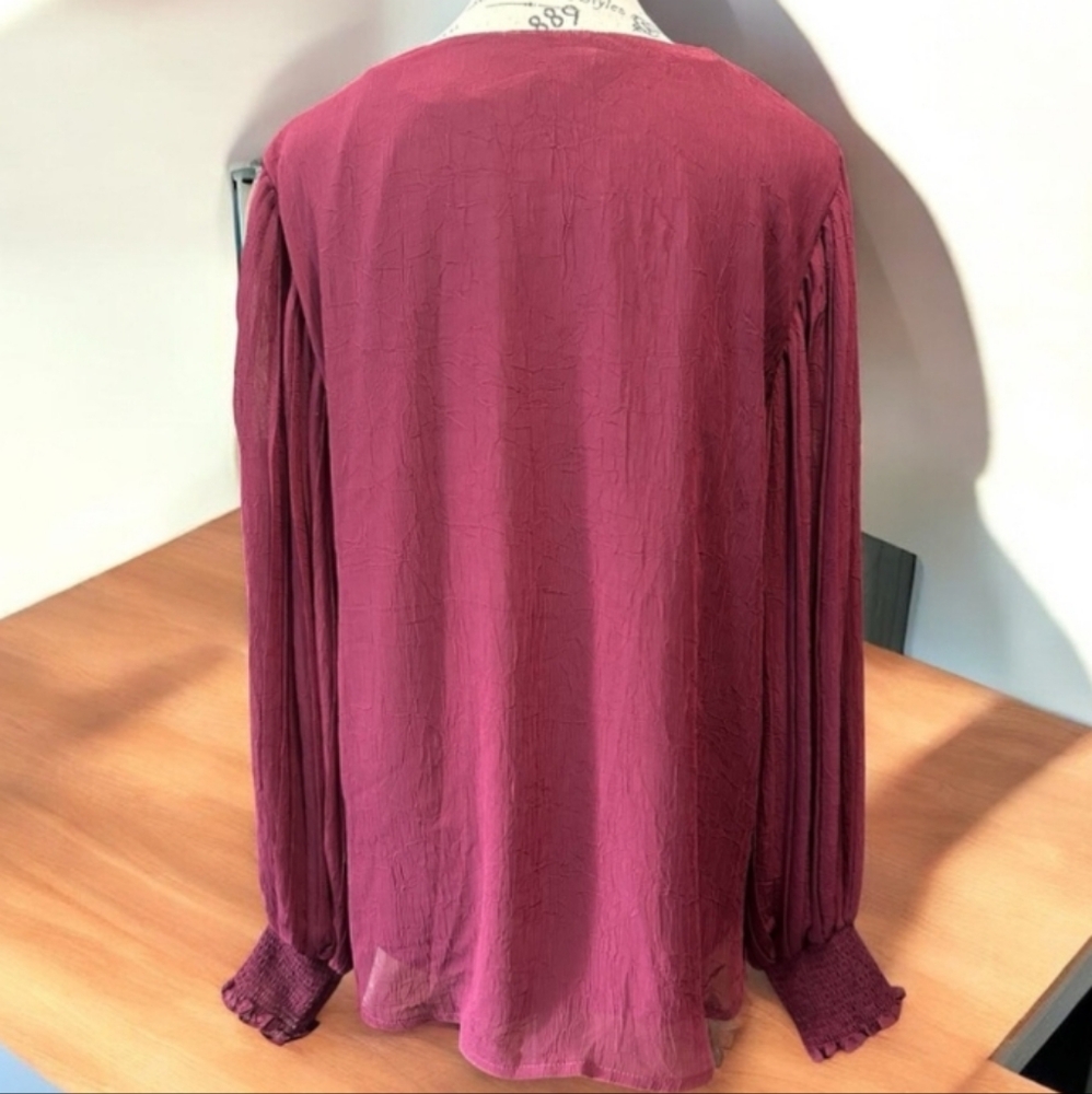 Entro Burgundy V-Neck Blouse Size M NWT - Picture 5 of 9